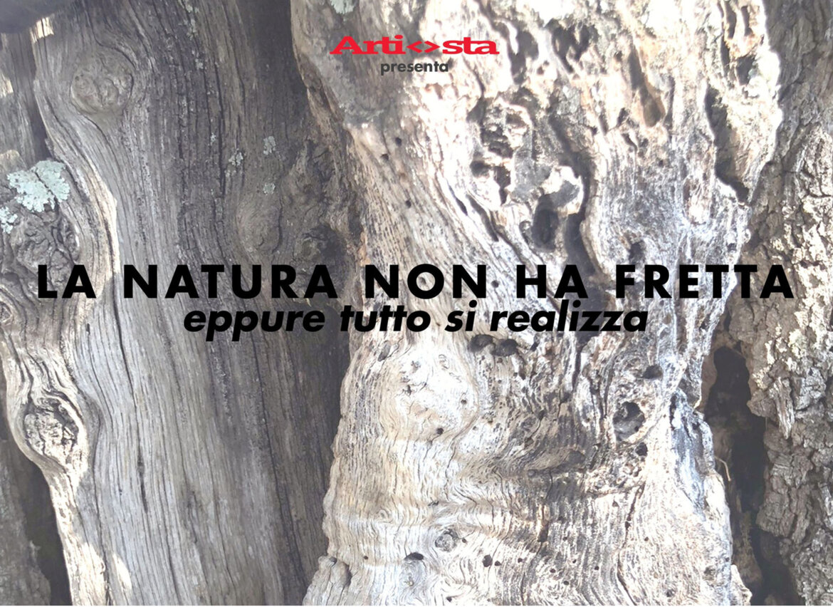 8791d0d0-6e50-4aca-9cd5-42fb479e89e5