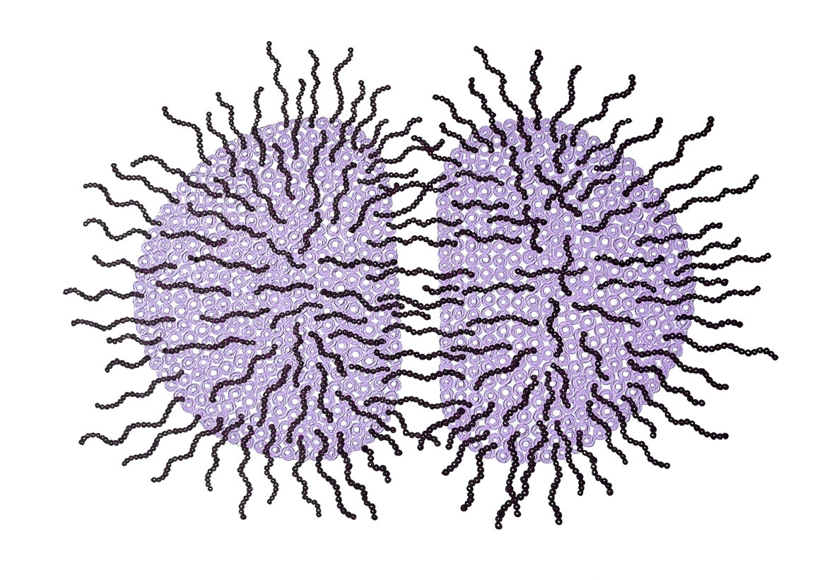 cc6f94b4-9ca5-40c9-a197-9731e2781ad7