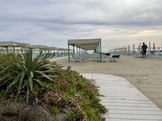 af2d18fd-72e7-42c8-b83f-490d45124a74.jpeg af2d18fd-72e7-42c8-b83f-490d45124a74.jpeg