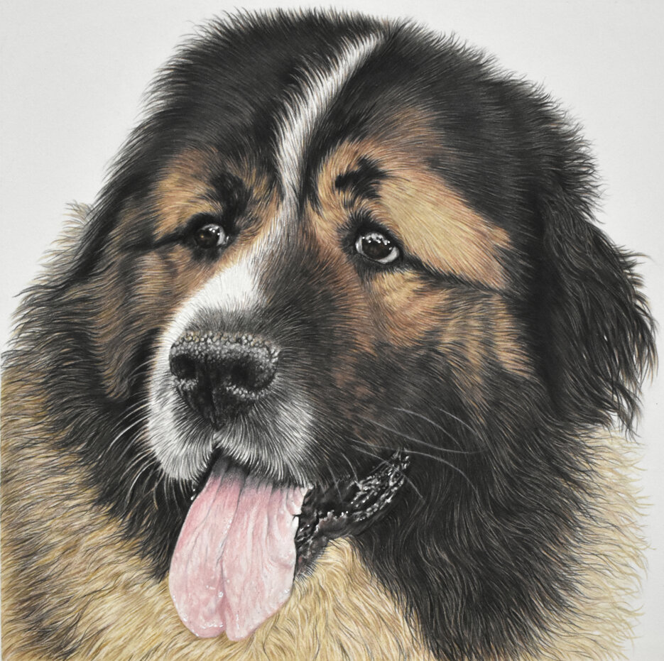 432e8dcd-258d-4eda-b277-de093dbef3a2