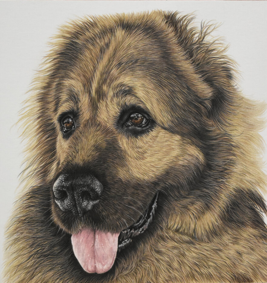 3a84df74-70af-4411-9d19-5ab09a314242