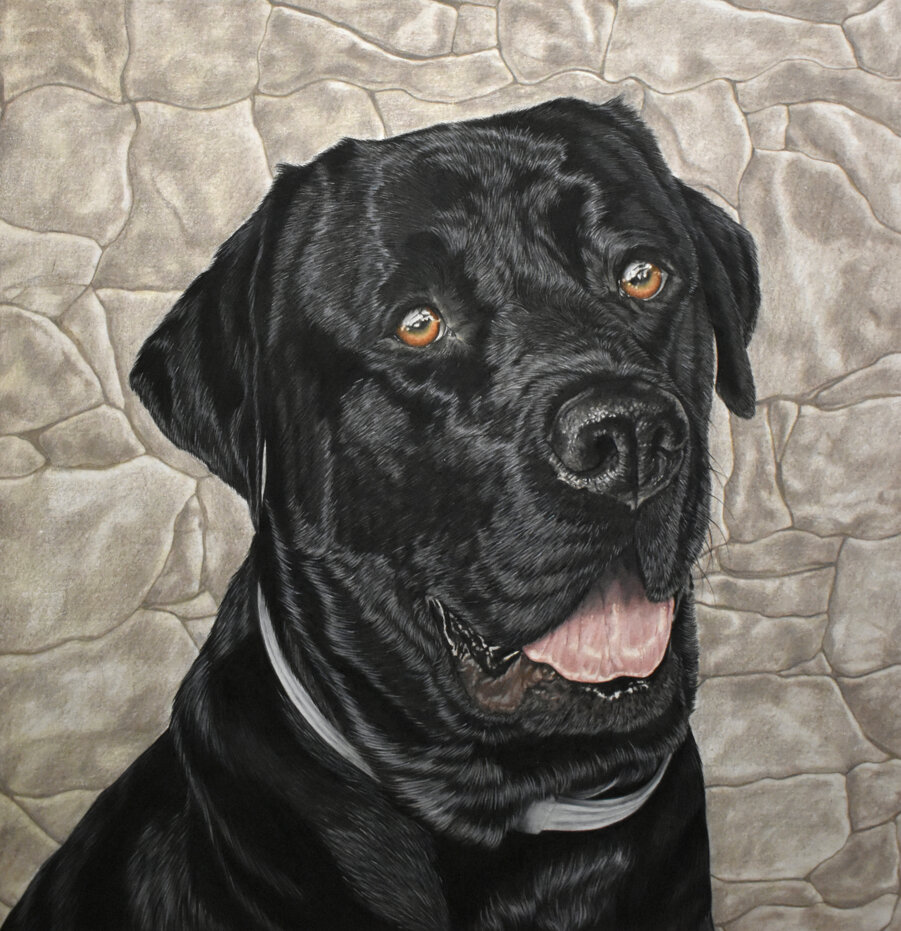 98e0b1ba-3395-409a-a6cb-84cdd1d3c98b