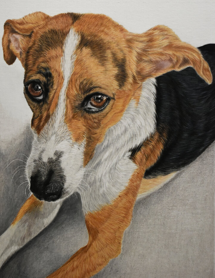 e257f9ed-b6a8-4f7a-a34a-3585e48ceee7