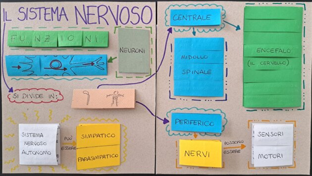 5aca3dbf-942c-4e4d-a1a4-a32d3aac9bda