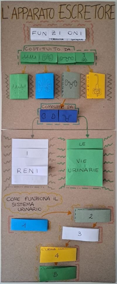 53b949d1-aa64-4e68-83d6-c8168eae8337