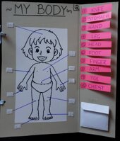 0fbc0fb2-b30c-4d81-9df2-805330c3e800