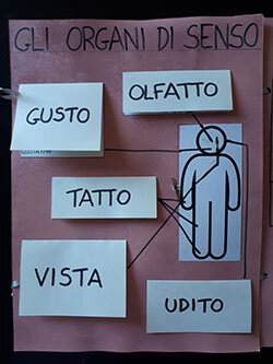 67716dff-1d9a-4754-8e12-02eb8682b6c1