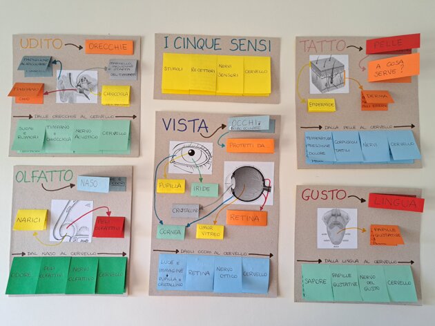 ff90261f-c206-4bdc-8d8f-9ff12b786138