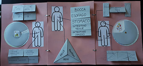 569e469c-2165-4095-8264-cff0417614c2