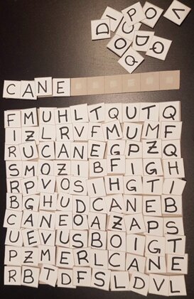 8e5c947c-8e02-4df9-8b50-9e092f9f2d02