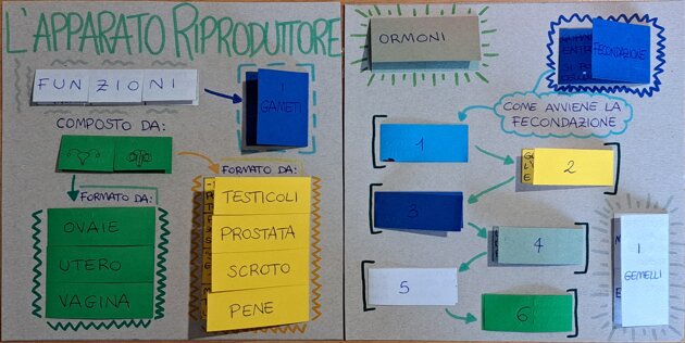 7b276f1f-2b8b-446c-b746-7d8b7ab35c57