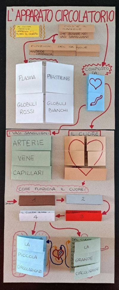 21786e9b-def8-480a-9b55-5d6d7097256f