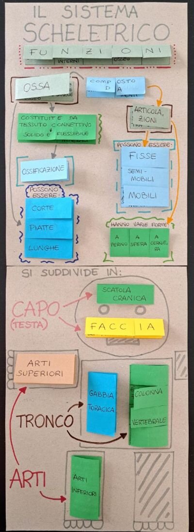 e2cff2a3-8af8-463a-8582-2eef05053561