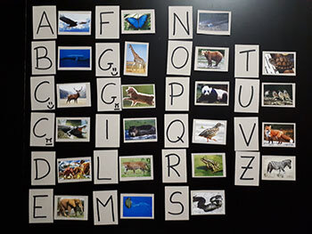 1740039c-c754-4878-895a-5630e3b01ef4