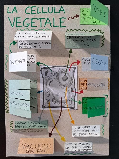 62df6868-dcd1-4287-aa9f-07c4c48f74dd