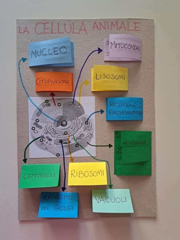 1762a184-50a4-4b2e-bea7-4fa683575ab3