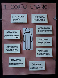 bcfe8900-b975-48c0-b712-02320b651efc