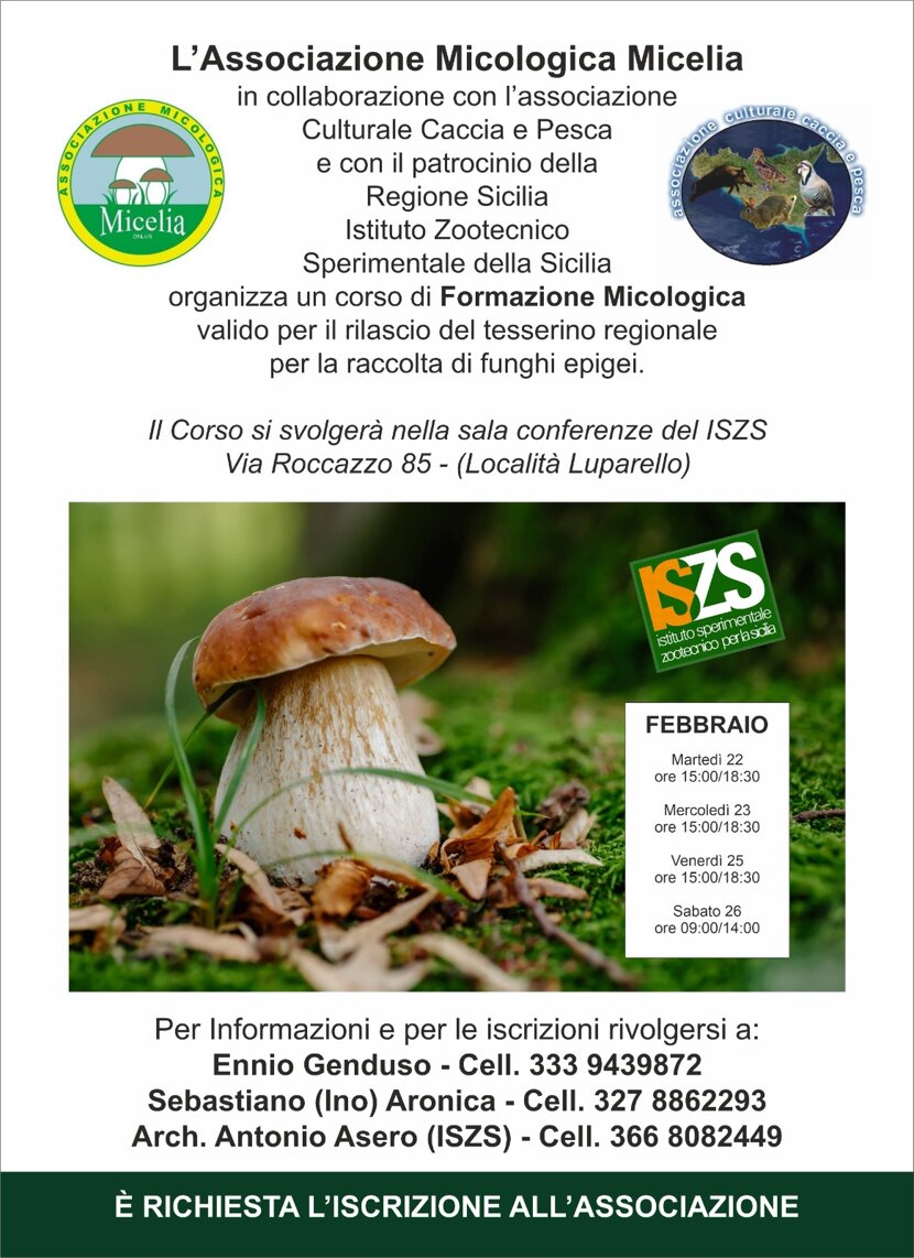 05e19a46-3723-45c0-9cbd-ef2fba990fd4