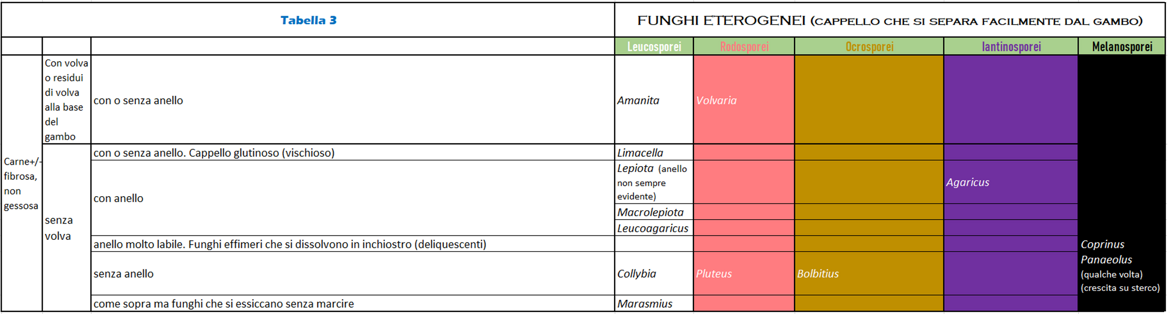 4693573f-e6b0-4c89-8bd3-965f0313618f 4693573f-e6b0-4c89-8bd3-965f0313618f
