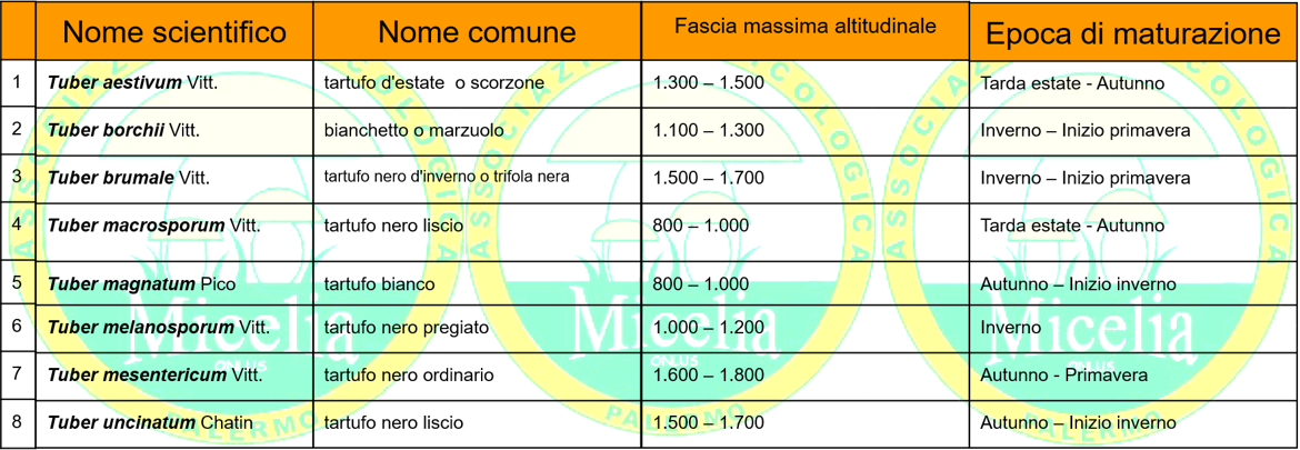 85bf4cab-b9ee-49dd-89c2-31456aeb6725 85bf4cab-b9ee-49dd-89c2-31456aeb6725