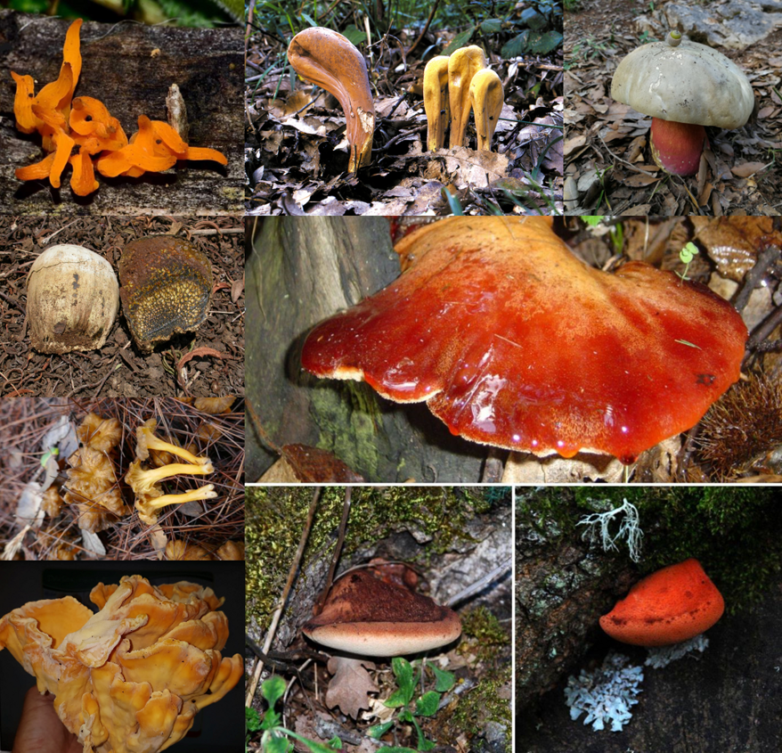 6d464202-668d-43dc-9d39-2d35654aaefb 6d464202-668d-43dc-9d39-2d35654aaefb