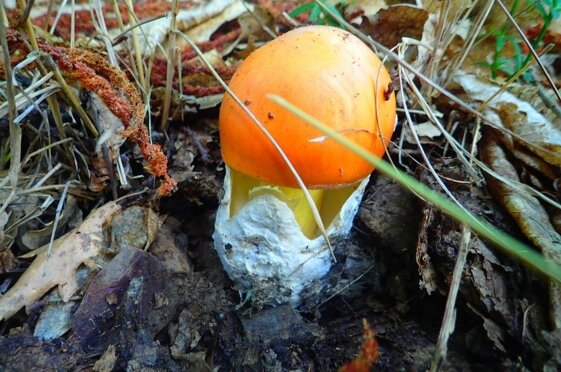 f7713974-9086-4830-9e83-be64b0f12344 f7713974-9086-4830-9e83-be64b0f12344