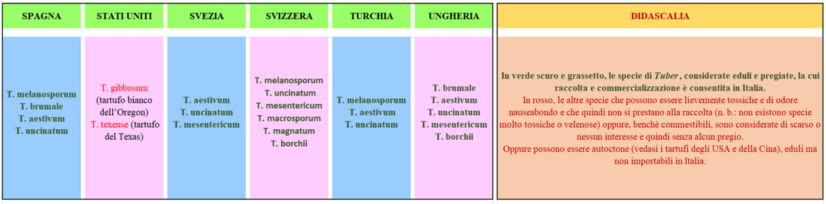054e0f62-ab29-455d-905c-a0007e8923f9 054e0f62-ab29-455d-905c-a0007e8923f9