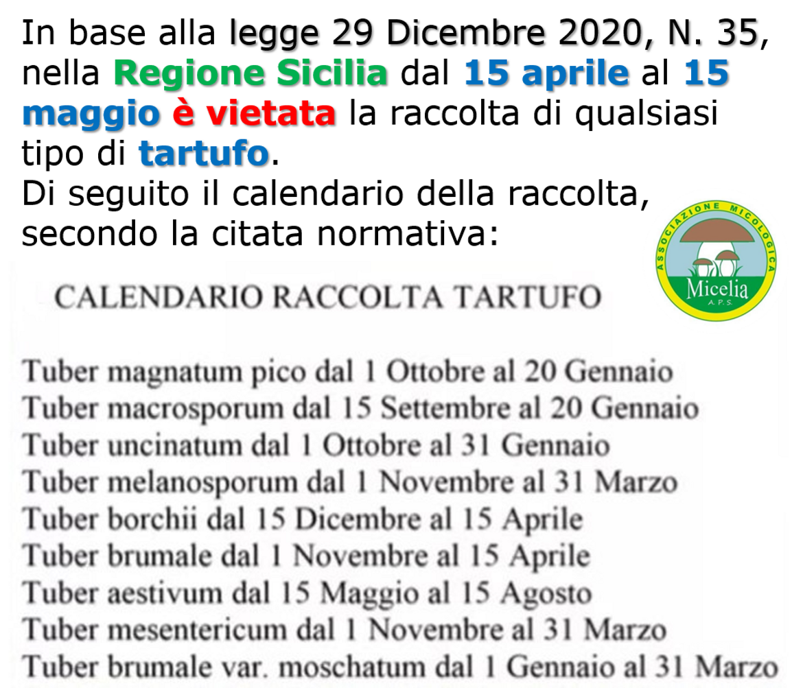 03057613-8eaa-42f0-8c50-1885f7bd7273 03057613-8eaa-42f0-8c50-1885f7bd7273