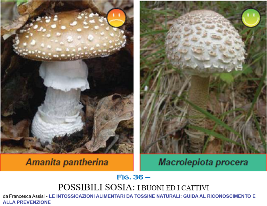 01e8d2a8-851e-4371-aefa-00d0c1b3590a 01e8d2a8-851e-4371-aefa-00d0c1b3590a