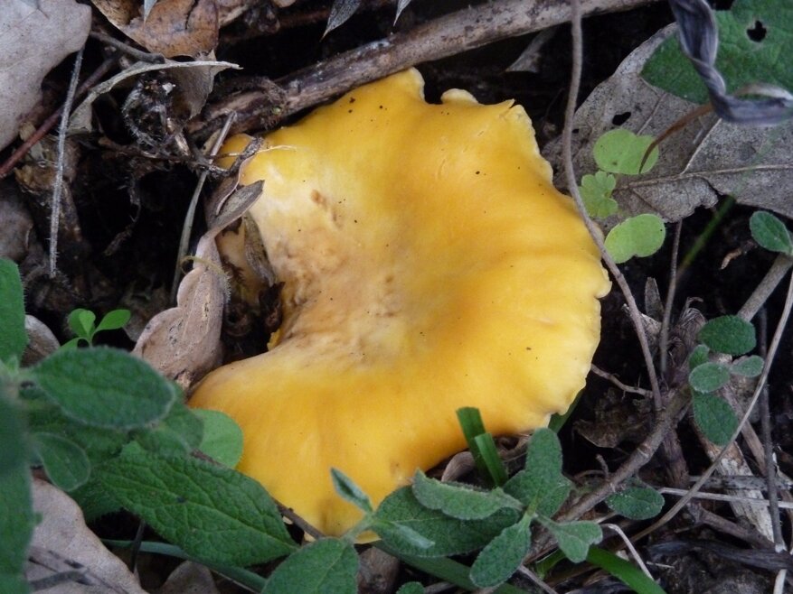 10f2c863-6fd6-46da-85fd-cf712486ea54 10f2c863-6fd6-46da-85fd-cf712486ea54