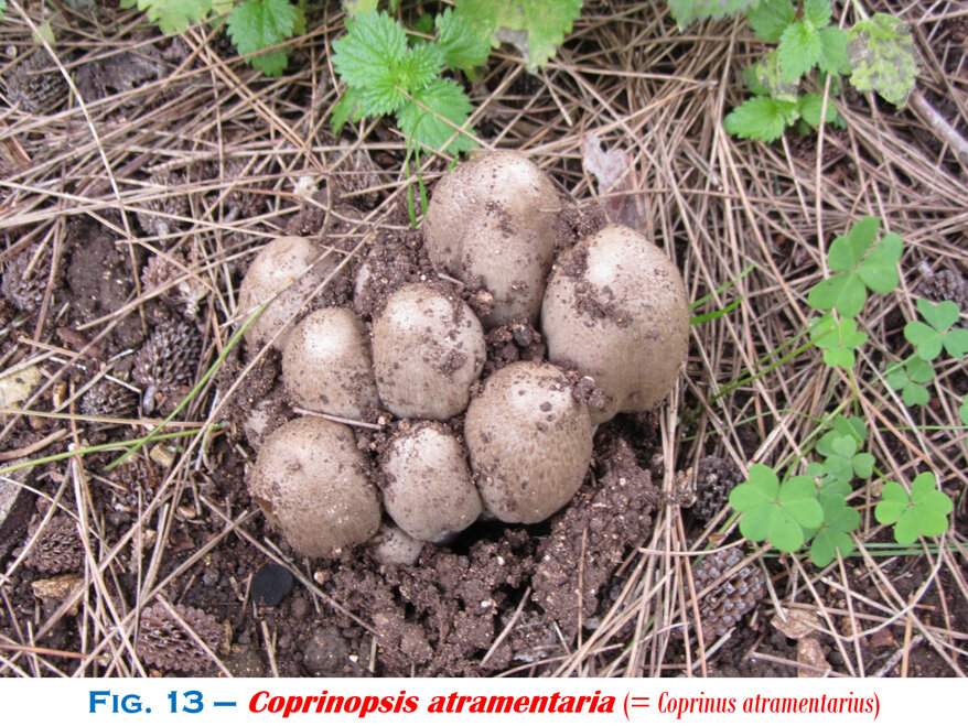 95eec436-09c2-41c5-9b58-63c4903b649d 95eec436-09c2-41c5-9b58-63c4903b649d