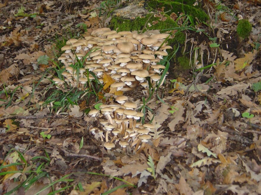 9e923a26-4f2a-4df1-89f3-718ae376df76.jpeg 9e923a26-4f2a-4df1-89f3-718ae376df76.jpeg