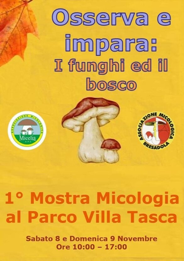 fd422ca8-631b-478b-a997-c3069d097d6a fd422ca8-631b-478b-a997-c3069d097d6a