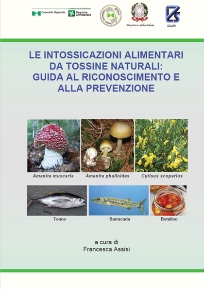 944741bc-d398-4a15-8d22-379f951a96b2 944741bc-d398-4a15-8d22-379f951a96b2