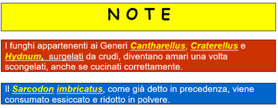 d3660436-4664-4a09-8dc5-713e9a0fe7f4 d3660436-4664-4a09-8dc5-713e9a0fe7f4