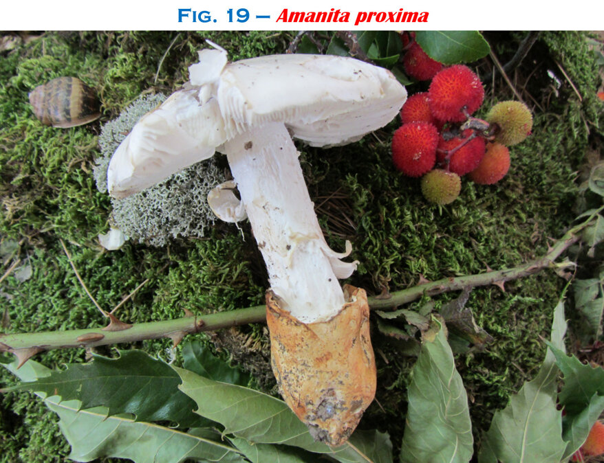 44672a95-5ebf-47d6-8884-d3704e53b3e9 44672a95-5ebf-47d6-8884-d3704e53b3e9