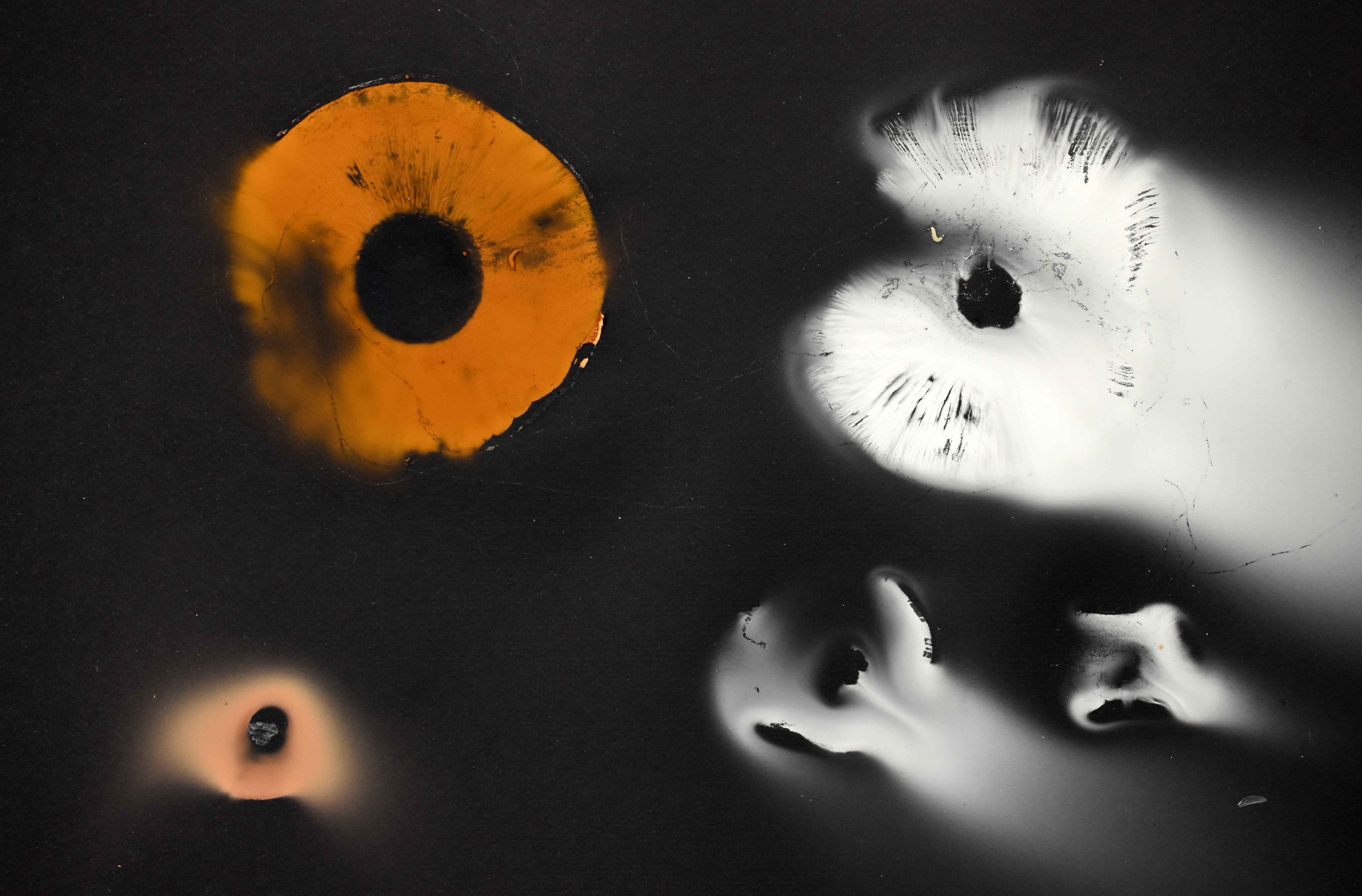 d35048fb-e376-41ac-946b-cac6e3dff4c2 d35048fb-e376-41ac-946b-cac6e3dff4c2