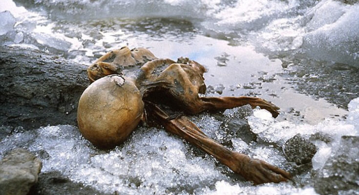 9cda8c4a-442b-48bd-b964-932a198fba37 9cda8c4a-442b-48bd-b964-932a198fba37