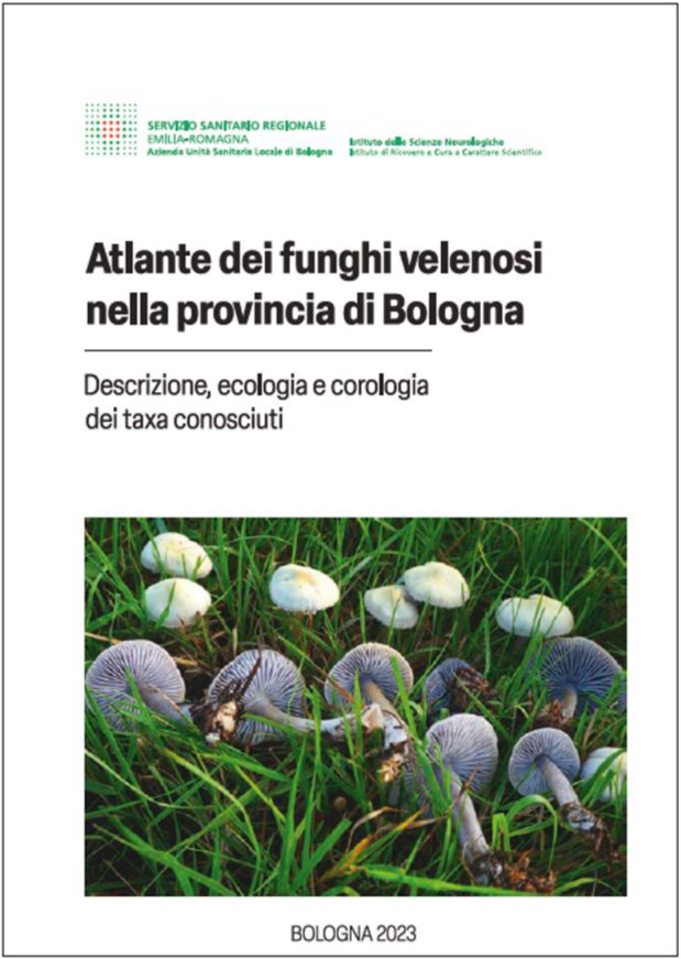 04fbd23c-ec75-4739-88c7-576648b4b206 04fbd23c-ec75-4739-88c7-576648b4b206