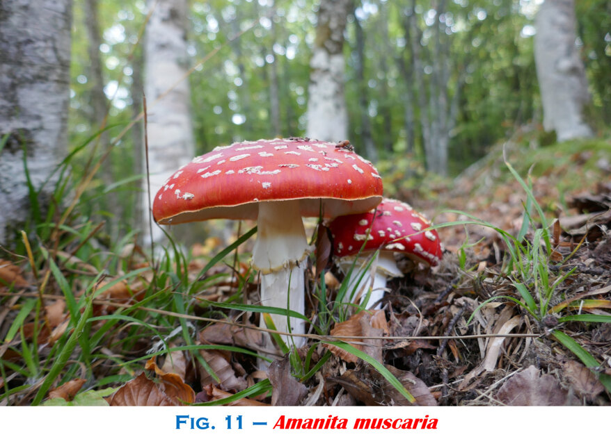 02199829-c2a6-4f93-acf8-f0ed5a1c3bc1 02199829-c2a6-4f93-acf8-f0ed5a1c3bc1