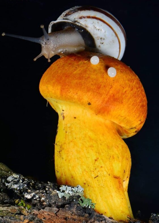 6c24c043-94eb-4e52-b566-af2dbf411092 6c24c043-94eb-4e52-b566-af2dbf411092