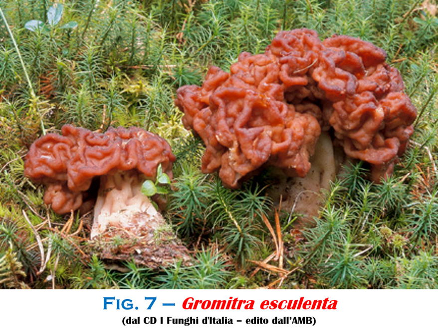 d2a5a1f8-0ca6-4b3d-aaa7-451220e998e6 d2a5a1f8-0ca6-4b3d-aaa7-451220e998e6