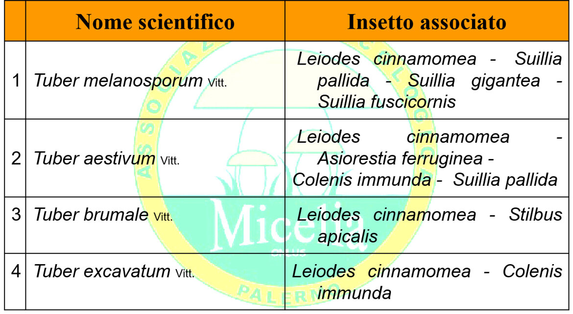 e751e0fd-449f-4889-9988-79b1165ffc10 e751e0fd-449f-4889-9988-79b1165ffc10