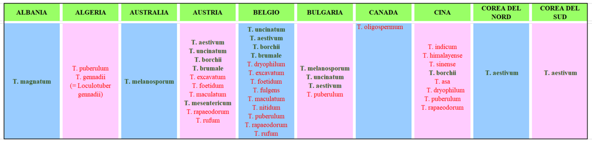 99fd0ba6-e59b-4896-bbe6-e5da162b45b8 99fd0ba6-e59b-4896-bbe6-e5da162b45b8