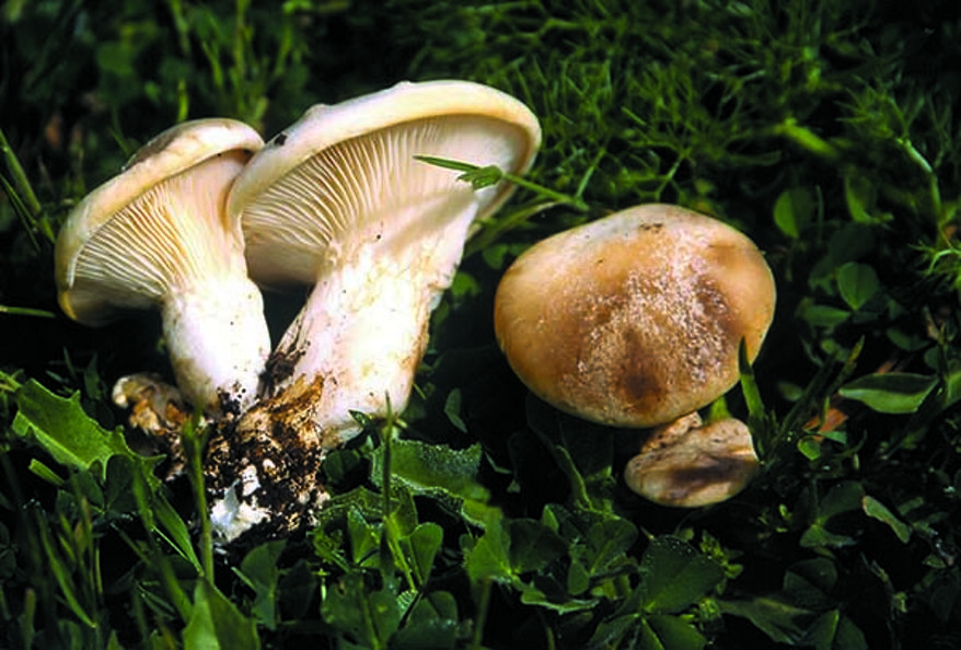 3f23ecce-cb84-40f4-bf2c-a4a1d372ba12 3f23ecce-cb84-40f4-bf2c-a4a1d372ba12