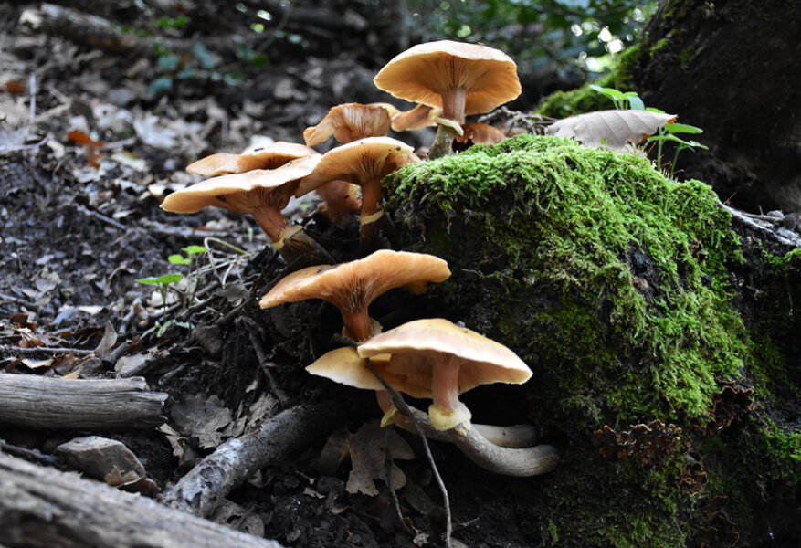 47143bef-f9f9-4796-bd8d-d93bfb327037 47143bef-f9f9-4796-bd8d-d93bfb327037