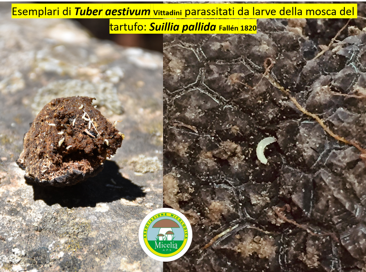 d6975f69-ced9-40a5-b42c-3e5369929a3f d6975f69-ced9-40a5-b42c-3e5369929a3f