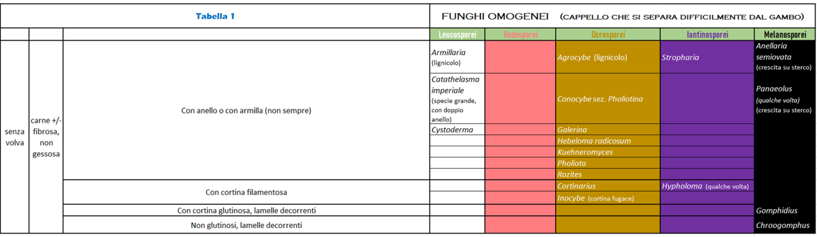 f36d70d8-c3d6-4b06-8ea8-9179210e2919 f36d70d8-c3d6-4b06-8ea8-9179210e2919
