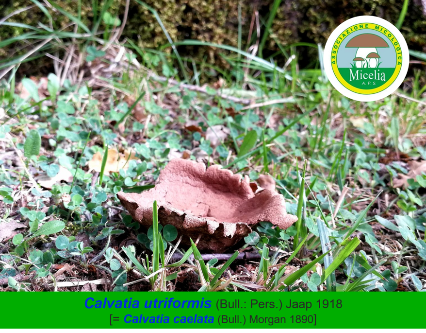 0badfed7-b246-4879-9cf7-25f794d11897 0badfed7-b246-4879-9cf7-25f794d11897