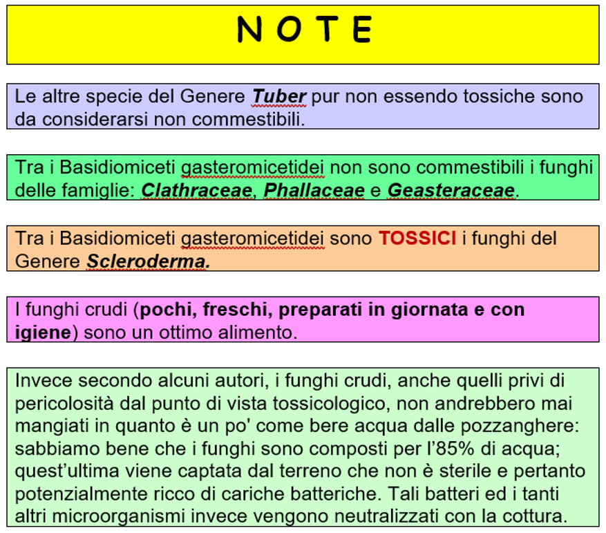 cccc0a07-ddf4-437a-acba-e77116dc4f3e cccc0a07-ddf4-437a-acba-e77116dc4f3e